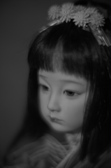 日本少女 11