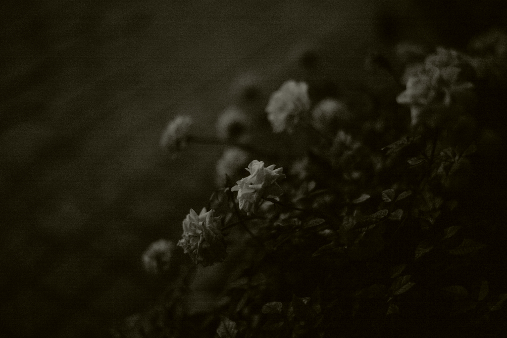 Death