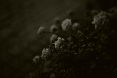 Death