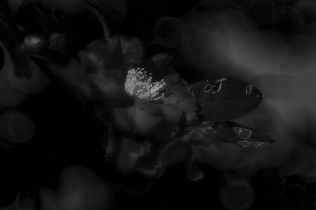 blurred