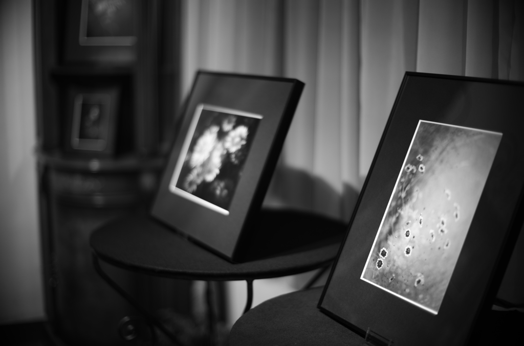 「 花と幻想の写真展 」、本日は３日目です。