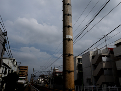明日の電信棒