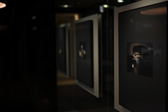 SUMMILUX-SL 50mm f/1.4 ASPH   Ⅱ
