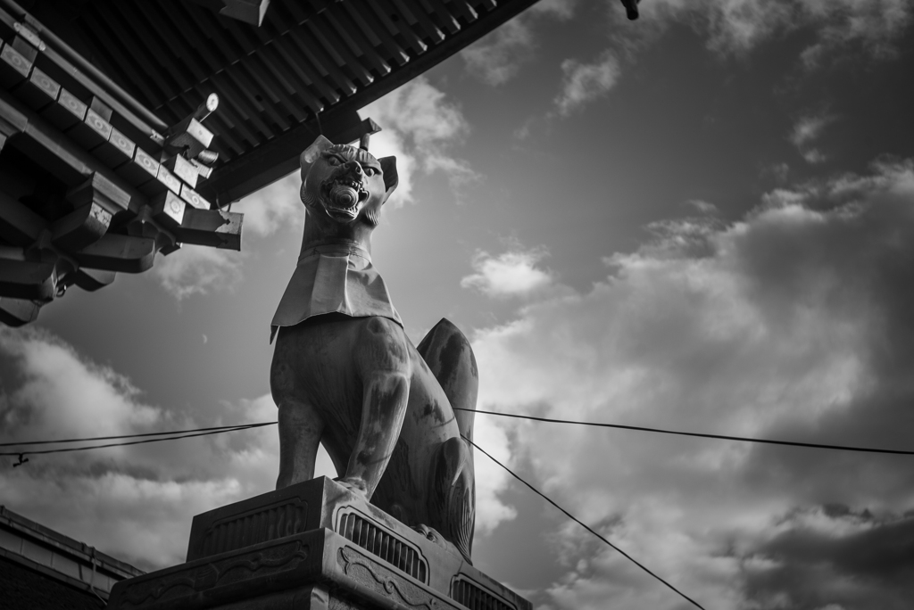 Two Fox Gods   〜FUSHIMI-INARI-TAISYA〜