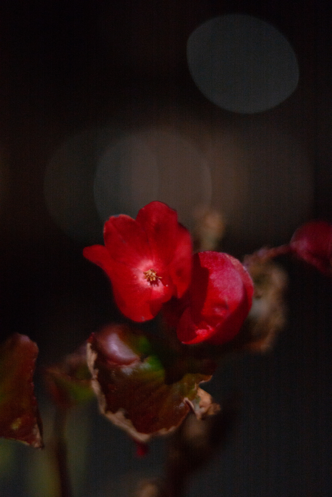 ISO6400 絶衝K-M-S