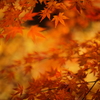 原点にして頂点 Ⅳ