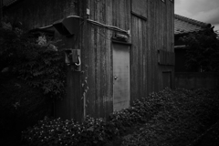 毒溜の咲く家　