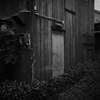 毒溜の咲く家　