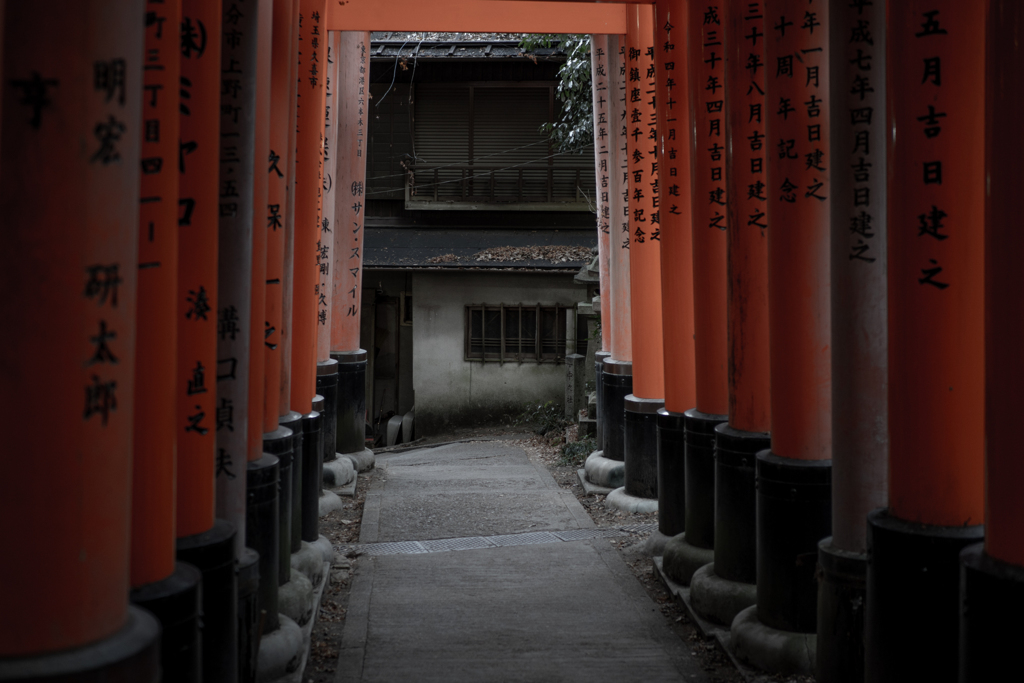お山巡り