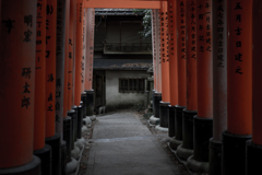 お山巡り