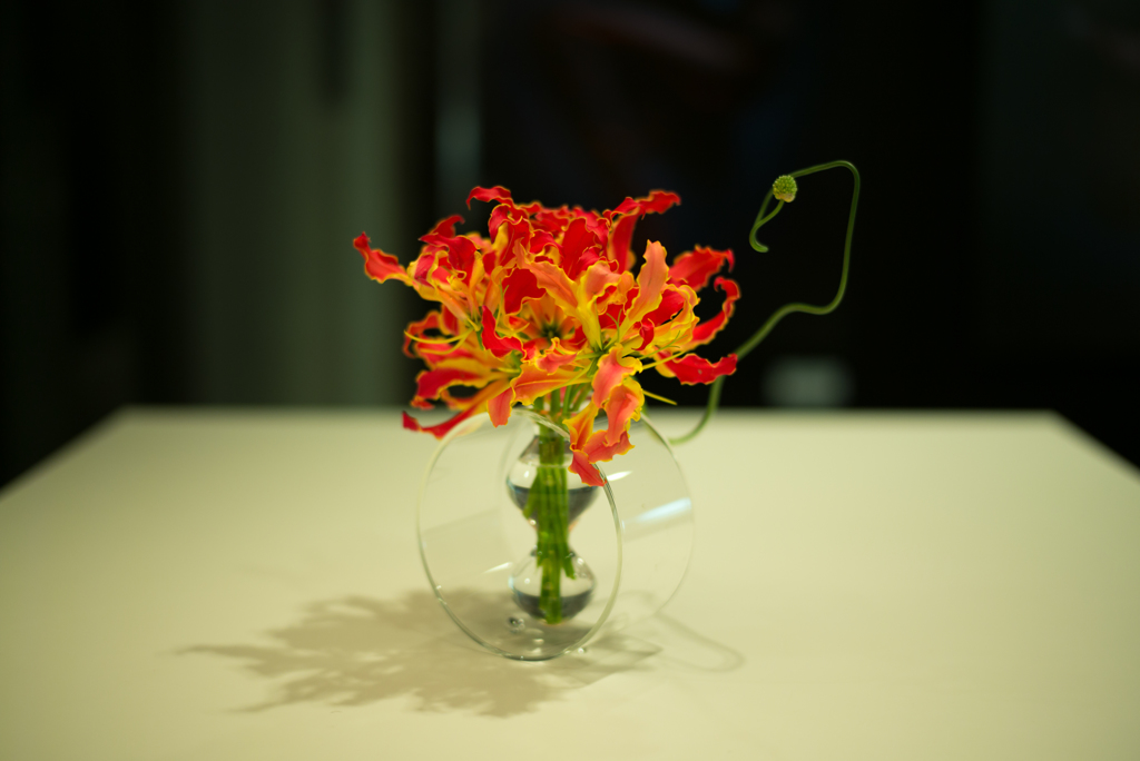 M10&M240　画像比較２