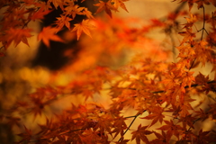 原点にして頂点 Ⅲ