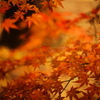 原点にして頂点 Ⅲ