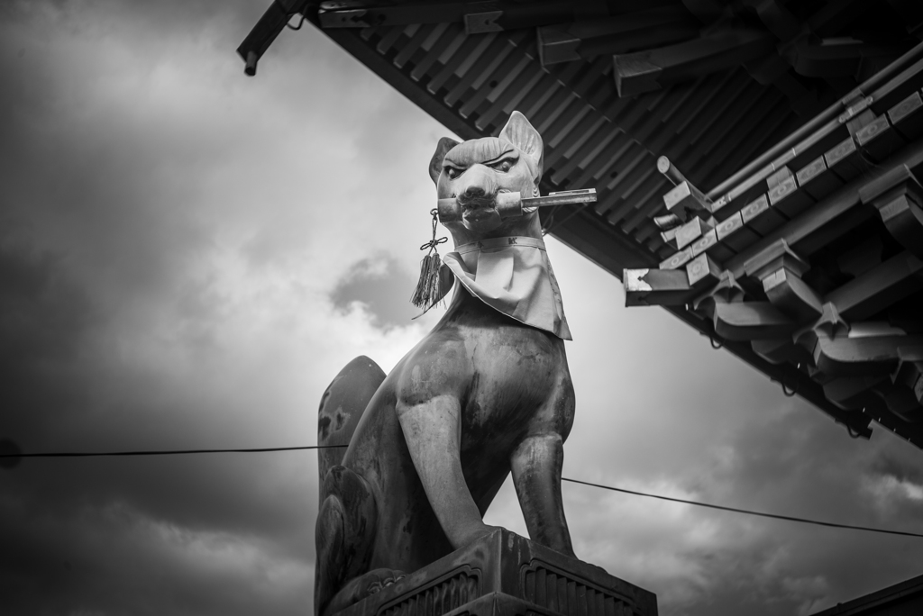 Two Fox Gods   〜FUSHIMI-INARI-TAISYA〜