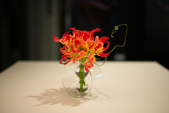 M10&M240　画像比較３