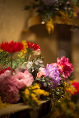 SUMMILUX