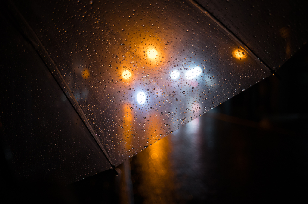 雨中のSUMMICRON 2