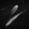 狗尾草Macro