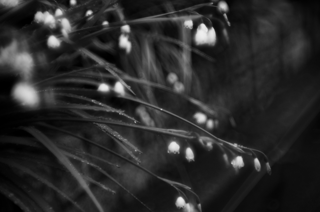 Rain-flake