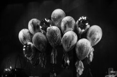 シャレオザギン