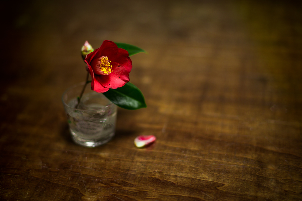 絶一輪　　其之弐