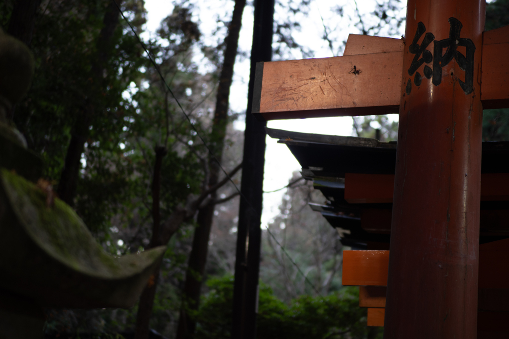 お山巡り