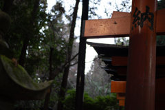 お山巡り
