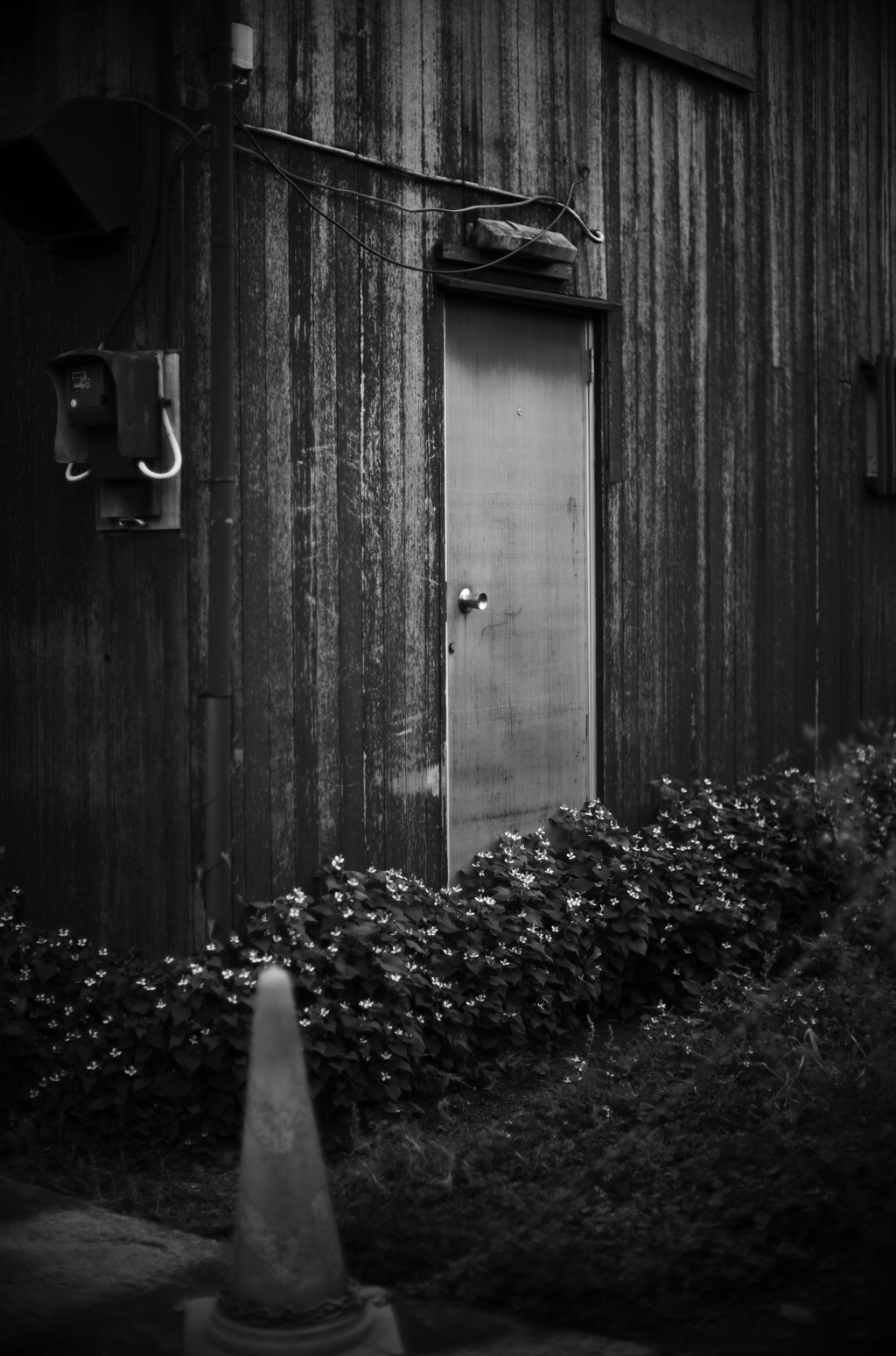 Noct-Door