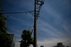 SUMMARON's 電信柱
