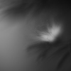 夢幻ノ夜光