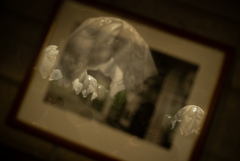 Phantom