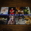 「人形写真の現在」展