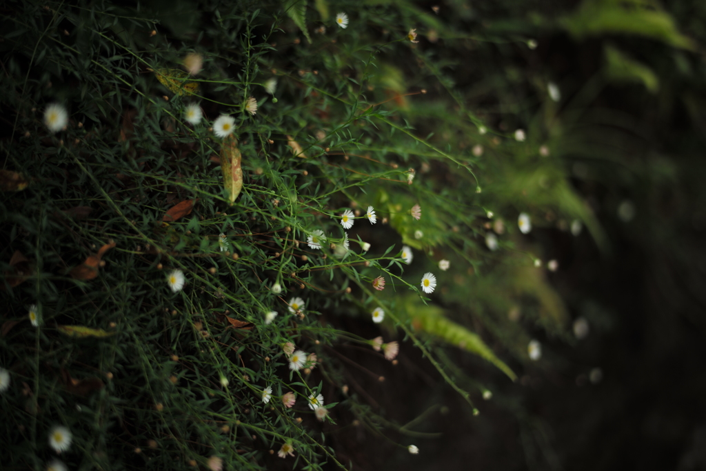 Sometimes it snows in JUNE.