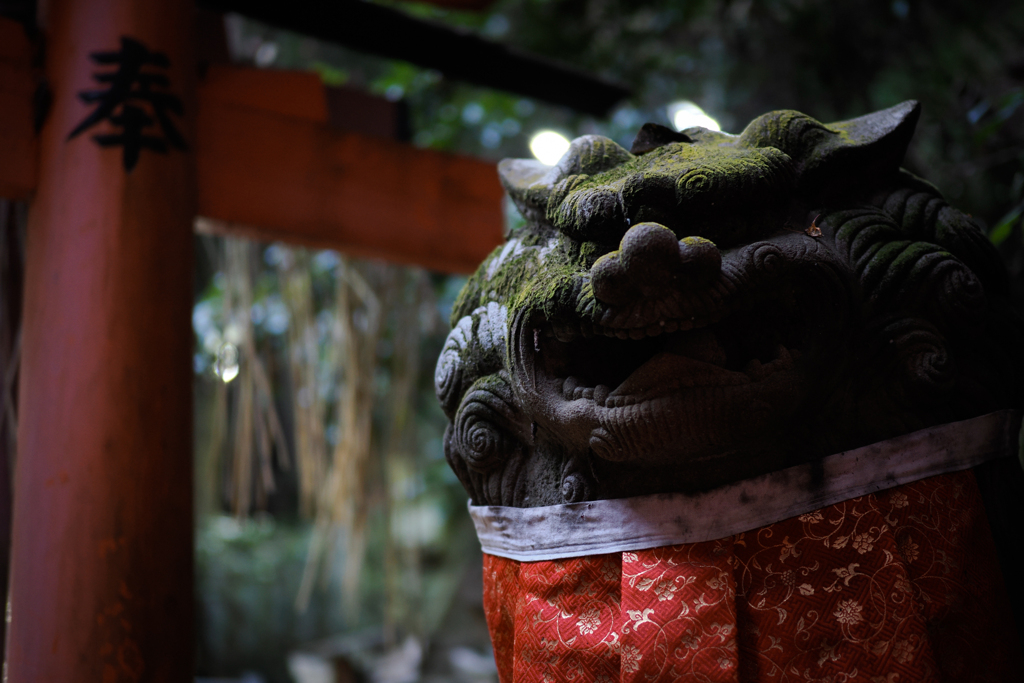 お山巡り