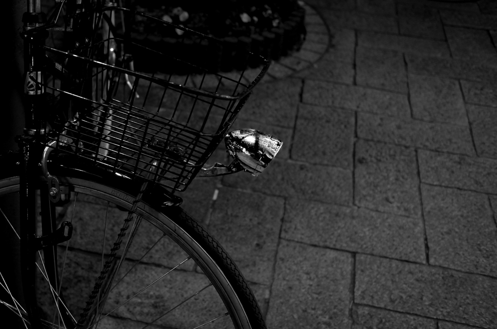 X2-Bicycle