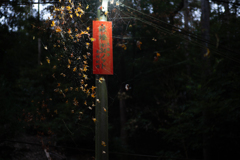 お山巡り