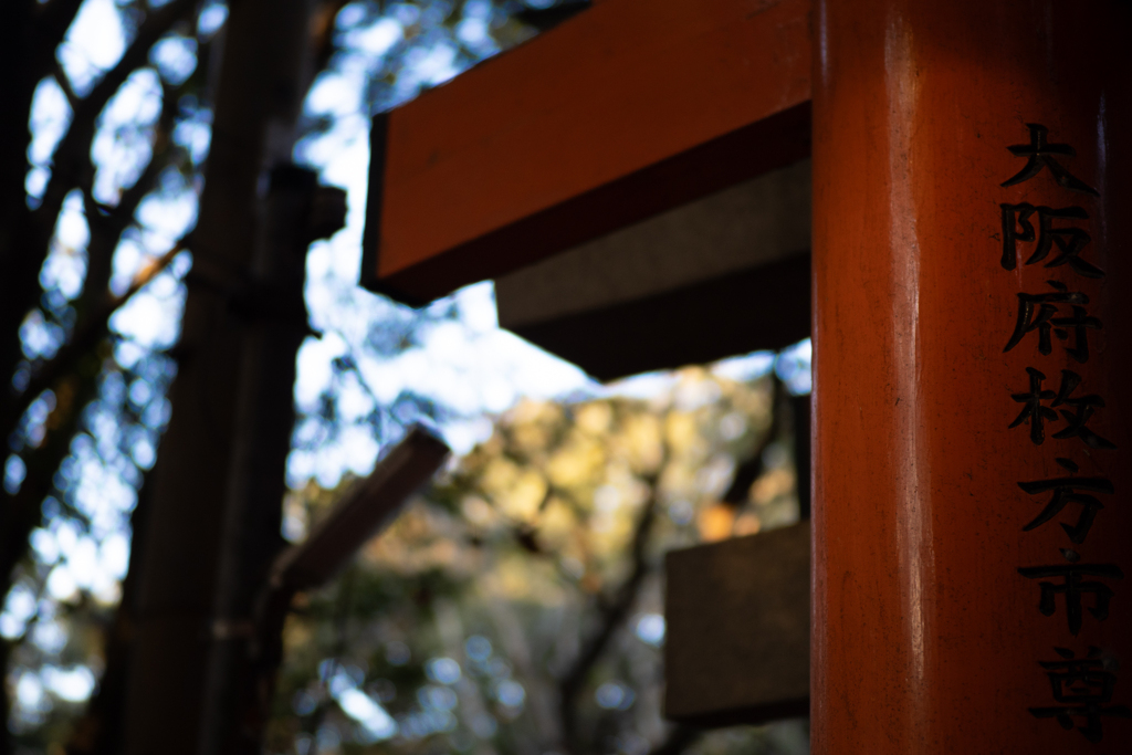 お山巡り