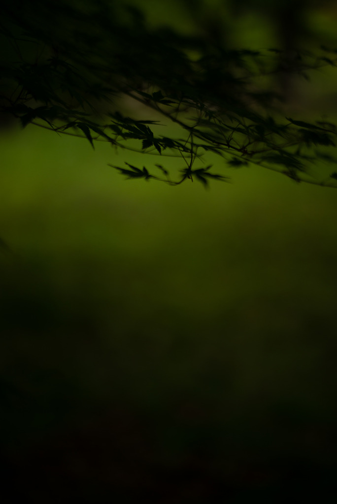 黄昏