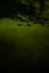 黄昏