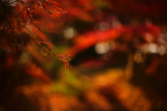 原点にして頂点 ⅩⅣ