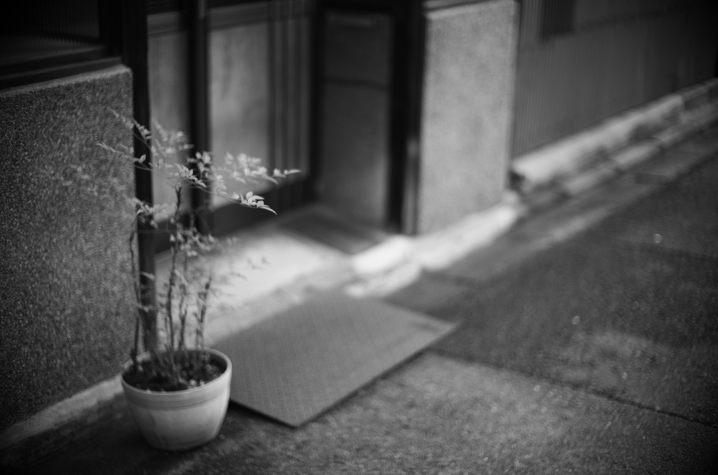 「　打田漬け物本店のある京都の小径　」