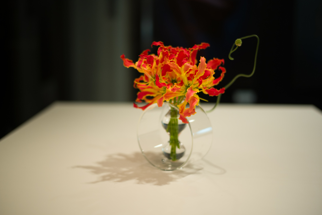 M10&M240　画像比較　