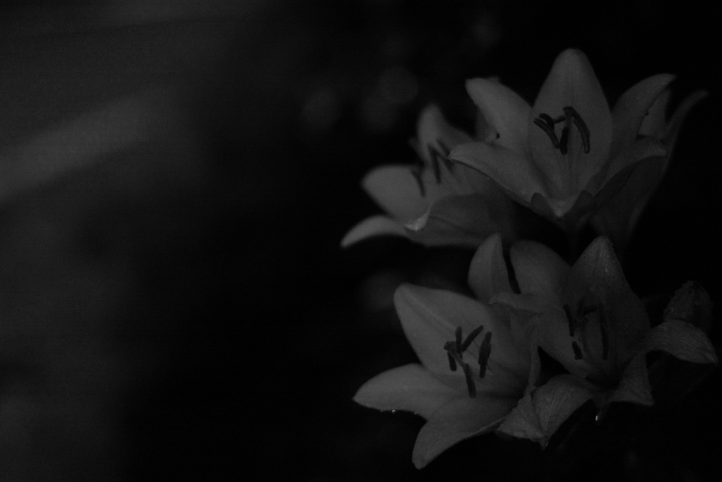 Death