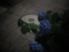 夜道