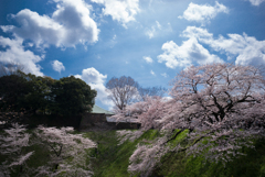 愛の千鳥ヶ淵