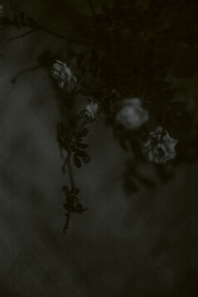 CROWNING KING  ~Disorder~