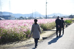 さんぽ日和