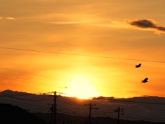夕焼け