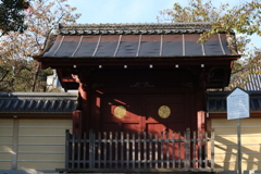 和が魅せる彩り（SAI）