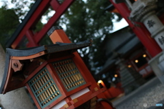 和が魅せる彩り（SAI）